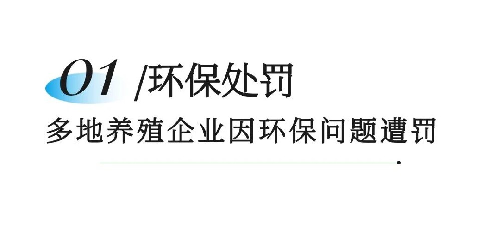 b90897ab4a4c2c06c7e8fe653e3a9a00.jpg